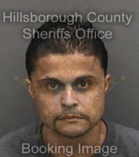 Rodriguez Gino - Hillsborough County, Florida 