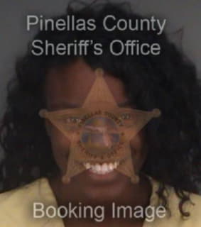 Cambric Lateil - Pinellas County, Florida 