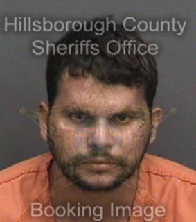 Martintejas Leoncio - Hillsborough County, Florida 