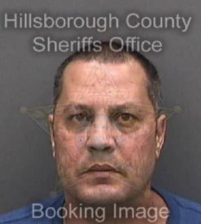 Martinezruiz Luis - Hillsborough County, Florida 