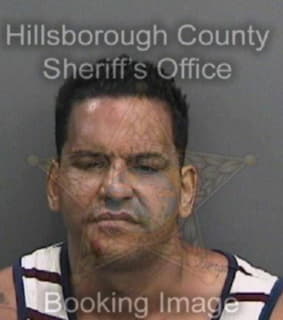 Vega Geraldo - Hillsborough County, Florida 