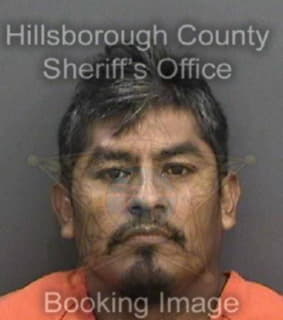 Milianvargas Jose - Hillsborough County, Florida 