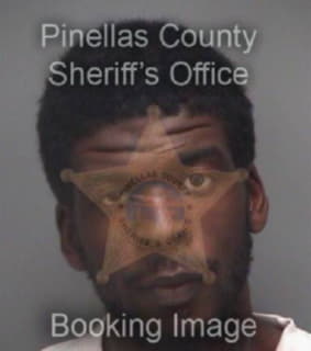 Roberson Richard - Pinellas County, Florida 