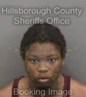 Cook Jabari - Hillsborough County, Florida 