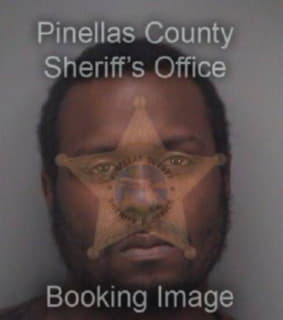 Chisolm Rodney - Pinellas County, Florida 