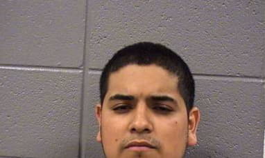 Hernandez Ivan - Cook County, Illinois 