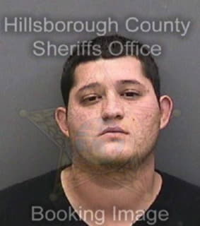 Carbajal Johnathon - Hillsborough County, Florida 