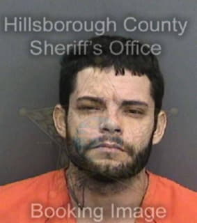 Riano Julio - Hillsborough County, Florida 