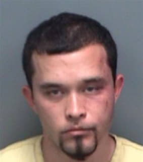 Myers Christopher - Pinellas County, Florida 