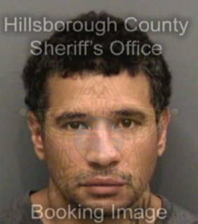 Nevarez David - Hillsborough County, Florida 