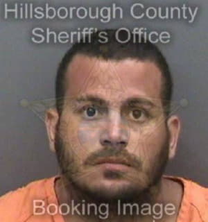 Ramirez-Arazo Luis - Hillsborough County, Florida 