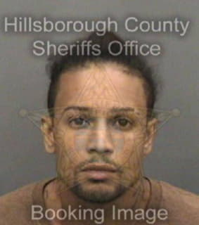 Difre Anthony - Hillsborough County, Florida 