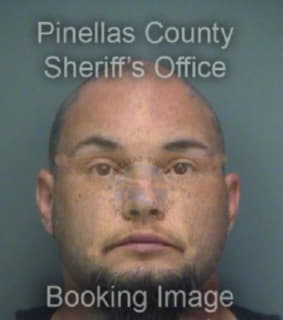 Hamblin John - Pinellas County, Florida 