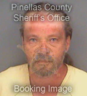 Anderson Steven - Pinellas County, Florida 