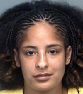 Merritt Dessica - Pinellas County, Florida 