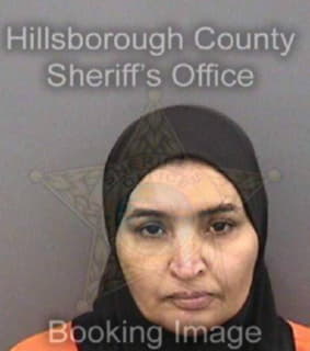 Albtran Hafza - Hillsborough County, Florida 