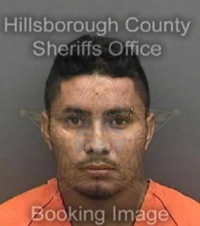 Velasquezgarrido Omer - Hillsborough County, Florida 