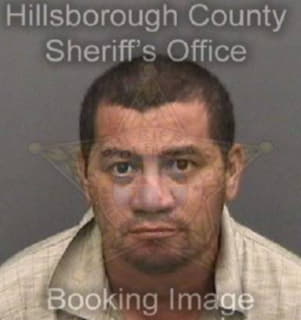 Diaz Efrain - Hillsborough County, Florida 