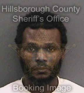 Lewis Travis - Hillsborough County, Florida 