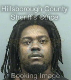 Johnson Demetrius - Hillsborough County, Florida 