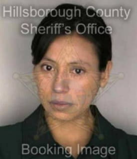 Vargas Imelda - Hillsborough County, Florida 