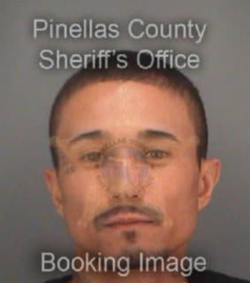 Ramos Jose - Pinellas County, Florida 