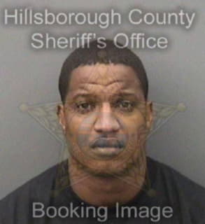 Williams Michael - Hillsborough County, Florida 