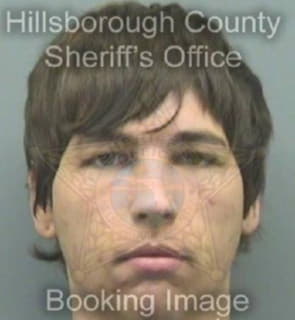 Bessinger Brandon - Hillsborough County, Florida 