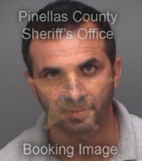Elou Georges - Pinellas County, Florida 