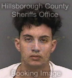 Rodriguezacosta Rogney - Hillsborough County, Florida 