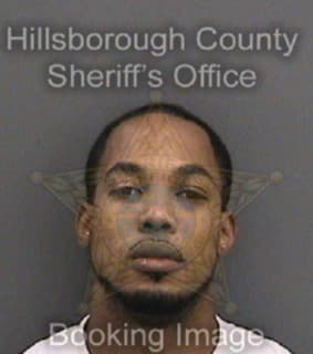 Sylvestre Wilner - Hillsborough County, Florida 