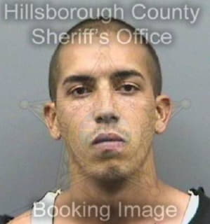 Claudiomartinez Jorge - Hillsborough County, Florida 