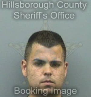 Perez Anthony - Hillsborough County, Florida 