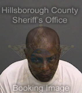 Anderson Gregory - Hillsborough County, Florida 