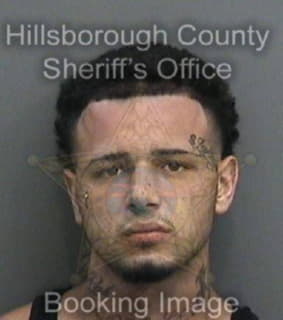 Nelson Charles - Hillsborough County, Florida 