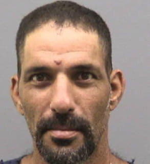 Vega Daniel - Hillsborough County, Florida 