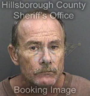 Mathis Daniel - Hillsborough County, Florida 