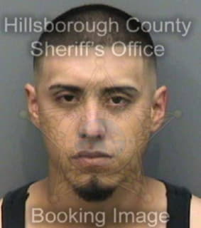 Delgado Edgar - Hillsborough County, Florida 