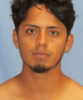 Hernandez Jose - Pulaski County, Arkansas 