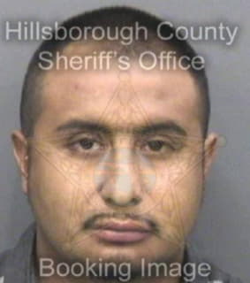 Lealramirez Luis - Hillsborough County, Florida 