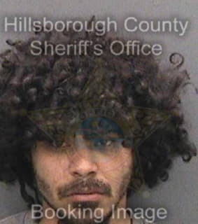 Varela Jeremy - Hillsborough County, Florida 