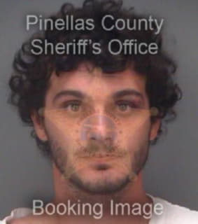 Ronald Scott - Pinellas County, Florida 