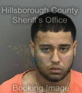 Martinez Vidal - Hillsborough County, Florida 