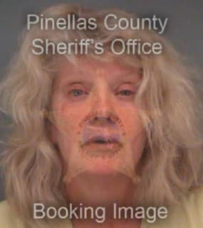 Strickland Denise - Pinellas County, Florida 