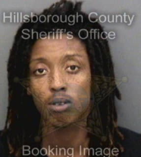 Williams Dontavious - Hillsborough County, Florida 