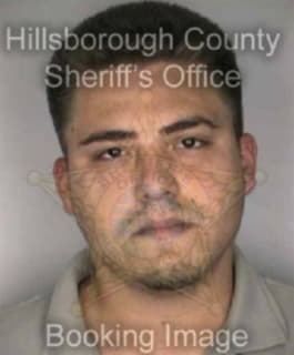 Rodriguezcruz Oscar - Hillsborough County, Florida 