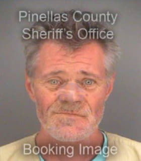 Mcguire Sean - Pinellas County, Florida 