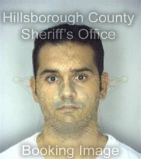 Looz Vincenzo - Hillsborough County, Florida 