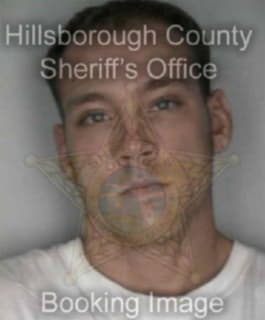 Pegram Craig - Hillsborough County, Florida 