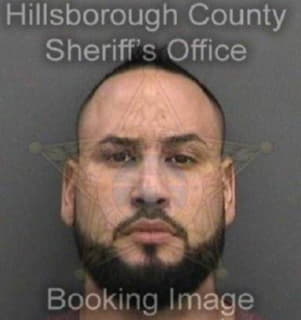 Reyessantiago Luis - Hillsborough County, Florida 